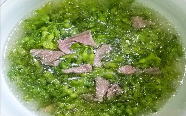 PHẠM GIA FOOD HƯỚNG DẪN BẠN CÁCH LÀM CANH HOA THIÊN LÝ NẤU THỊT BÒ 1 17 2