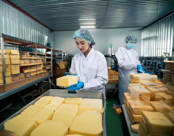 Dịch vụ gia công mozzarella - Khám Phá Thế Giới Thú Vị Của Phô Mai Ý 1 Dịch vụ gia công mozzarella - Khám Phá Thế Giới Thú Vị Của Phô Mai Ý
